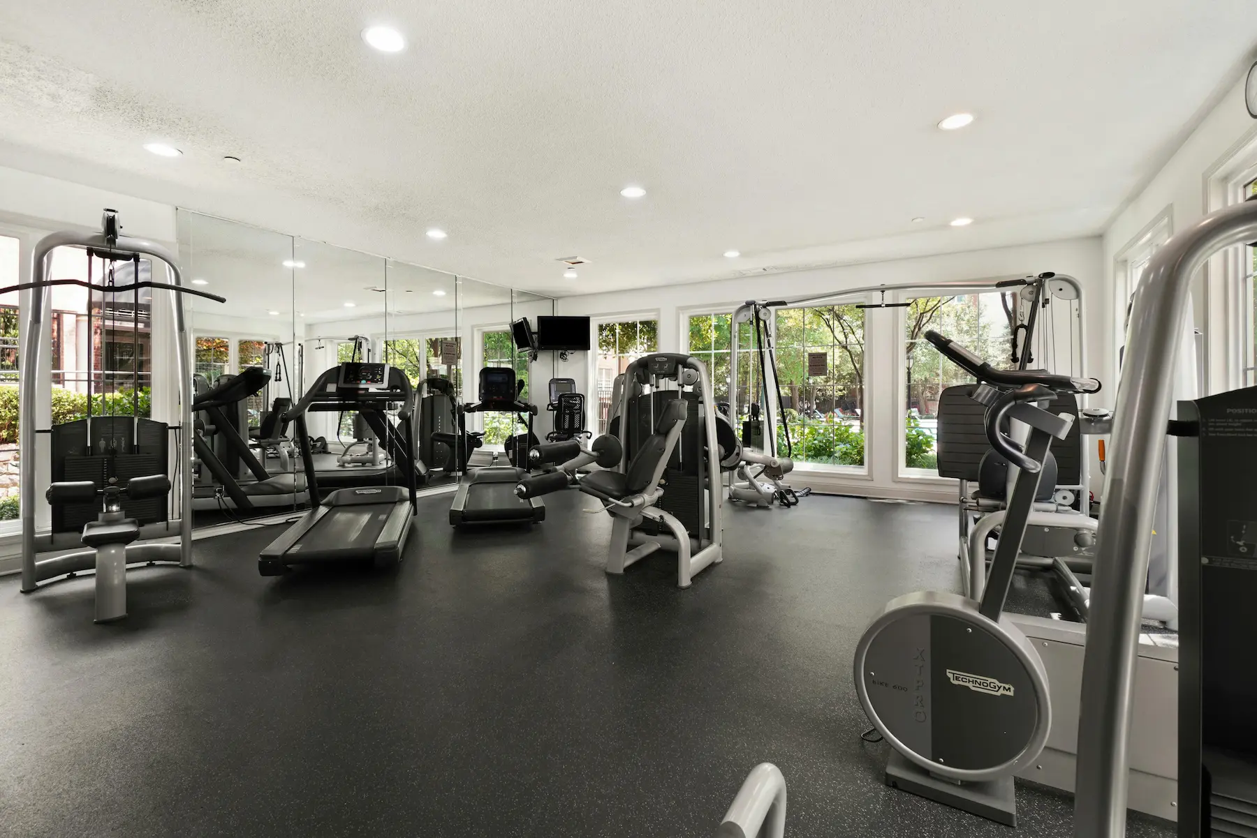 Gym Startup Cost and ROI Calculator